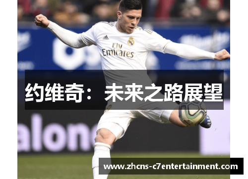 约维奇：未来之路展望