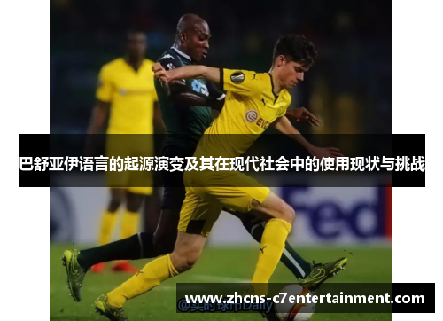 巴舒亚伊语言的起源演变及其在现代社会中的使用现状与挑战