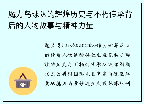 魔力鸟球队的辉煌历史与不朽传承背后的人物故事与精神力量