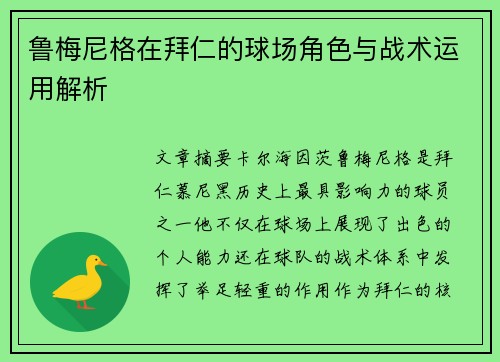 鲁梅尼格在拜仁的球场角色与战术运用解析